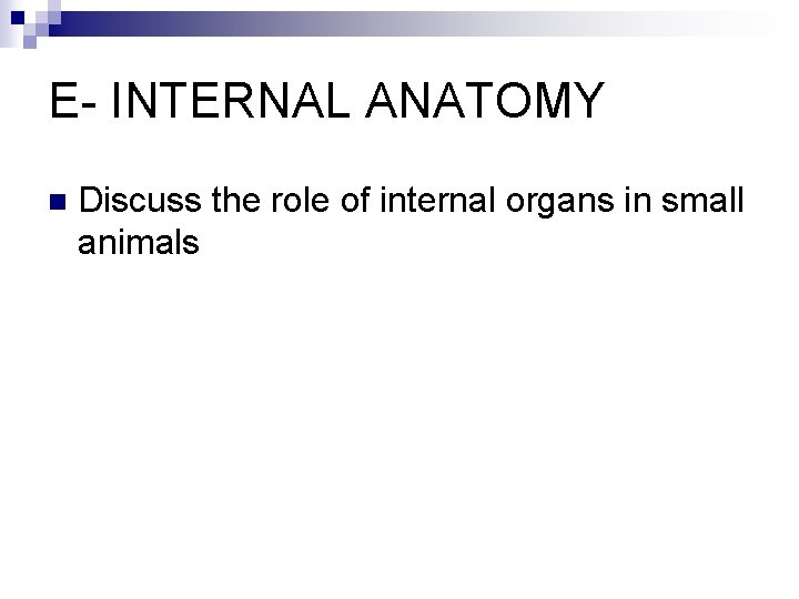 E- INTERNAL ANATOMY n Discuss the role of internal organs in small animals 