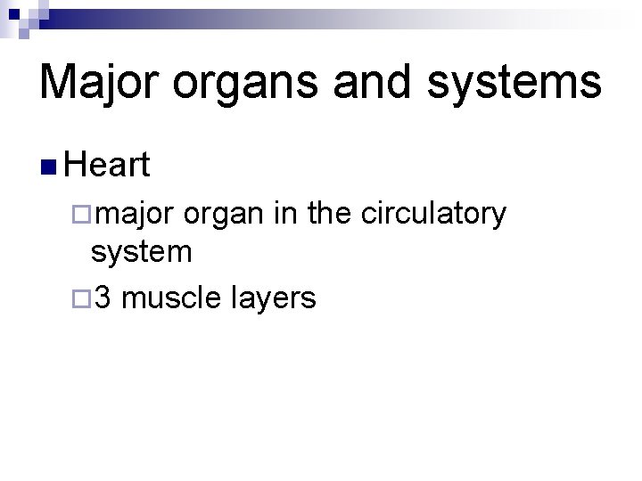 Major organs and systems n Heart ¨major organ in the circulatory system ¨ 3