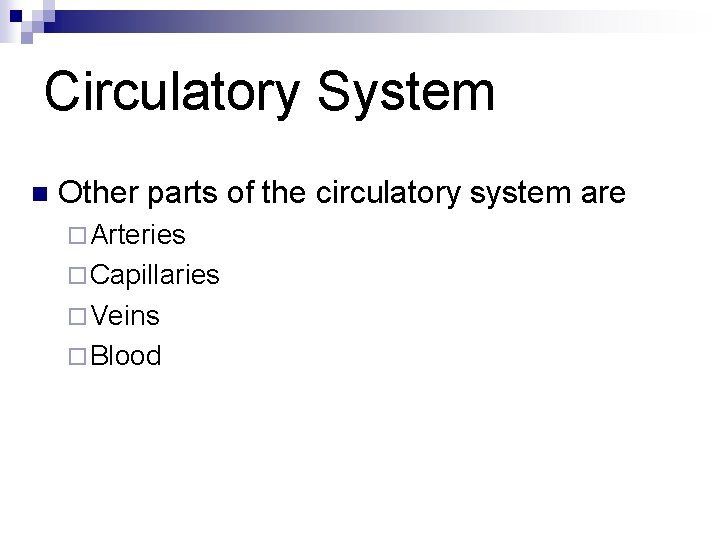 Circulatory System n Other parts of the circulatory system are ¨ Arteries ¨ Capillaries