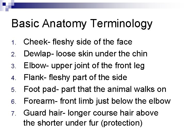 Basic Anatomy Terminology 1. 2. 3. 4. 5. 6. 7. Cheek- fleshy side of