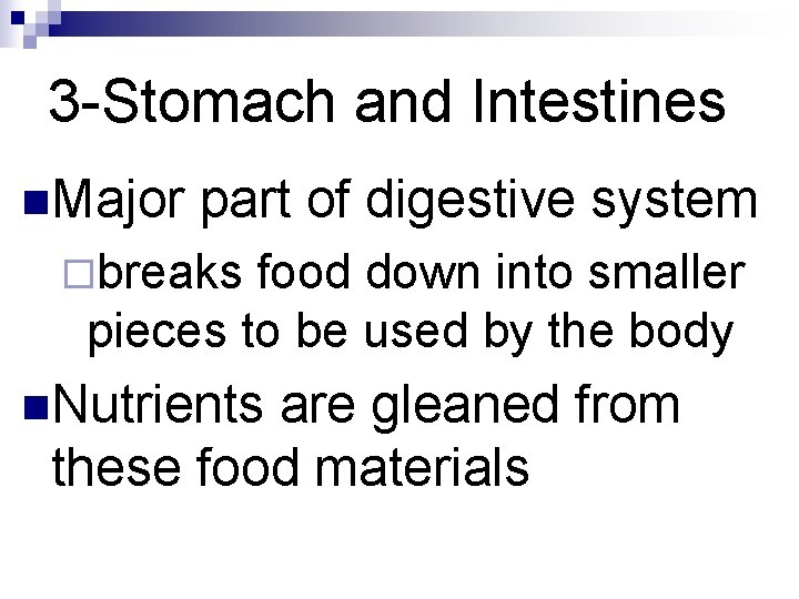 3 -Stomach and Intestines n. Major part of digestive system ¨breaks food down into