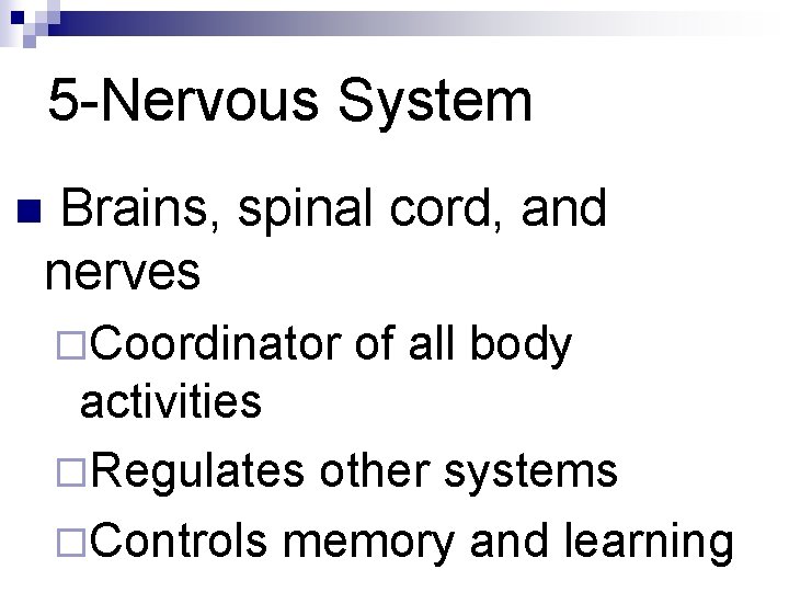 5 -Nervous System Brains, spinal cord, and nerves n ¨Coordinator of all body activities