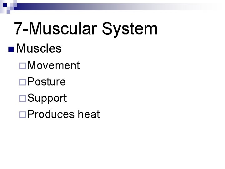 7 -Muscular System n Muscles ¨Movement ¨Posture ¨Support ¨Produces heat 