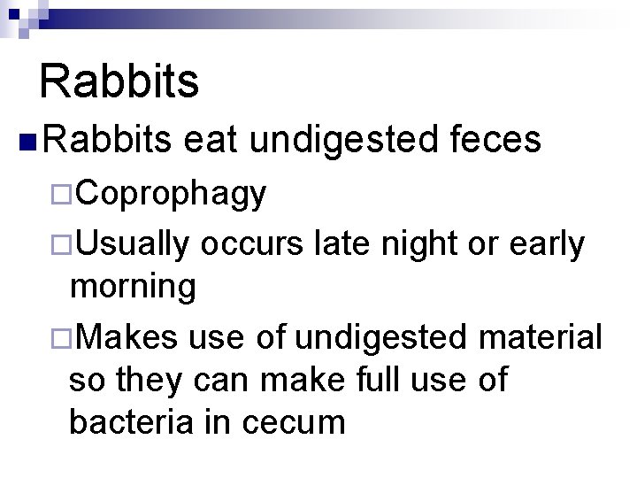 Rabbits n Rabbits eat undigested feces ¨Coprophagy ¨Usually occurs late night or early morning