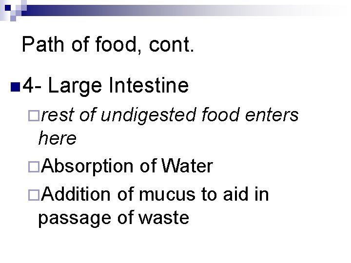 Path of food, cont. n 4 - Large Intestine ¨rest of undigested food enters