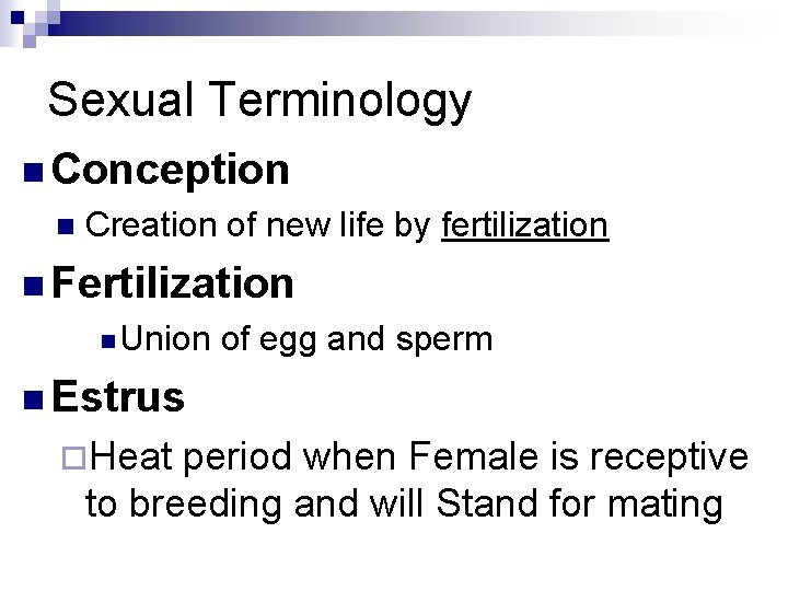 Sexual Terminology n Conception n Creation of new life by fertilization n Fertilization n