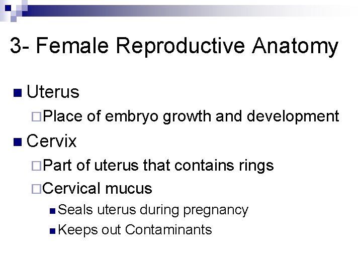 3 - Female Reproductive Anatomy n Uterus ¨Place of embryo growth and development n