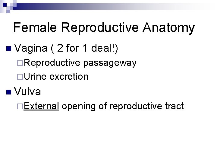 Female Reproductive Anatomy n Vagina ( 2 for 1 deal!) ¨Reproductive passageway ¨Urine excretion