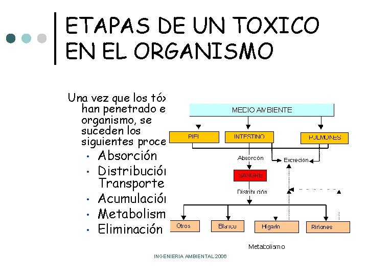 ETAPAS DE UN TOXICO EN EL ORGANISMO Una vez que los tóxicos han penetrado