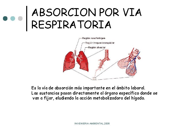 ABSORCION POR VIA RESPIRATORIA Es la vía de absorción más importante en el ámbito