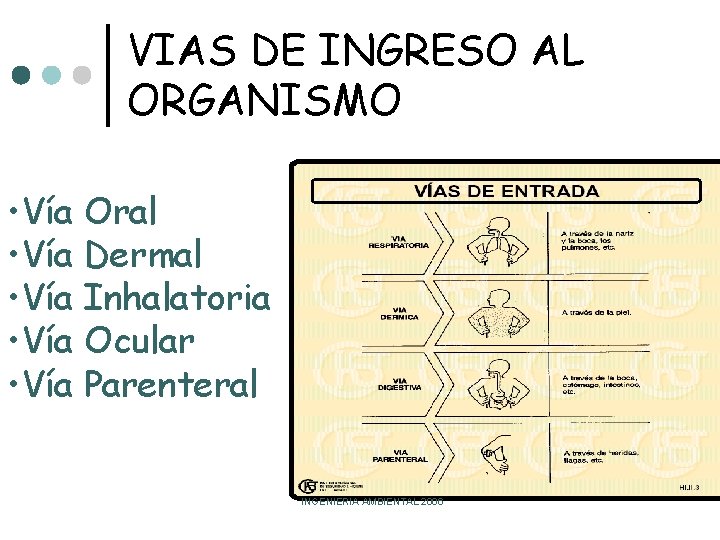 VIAS DE INGRESO AL ORGANISMO • Vía Oral • Vía Dermal • Vía Inhalatoria