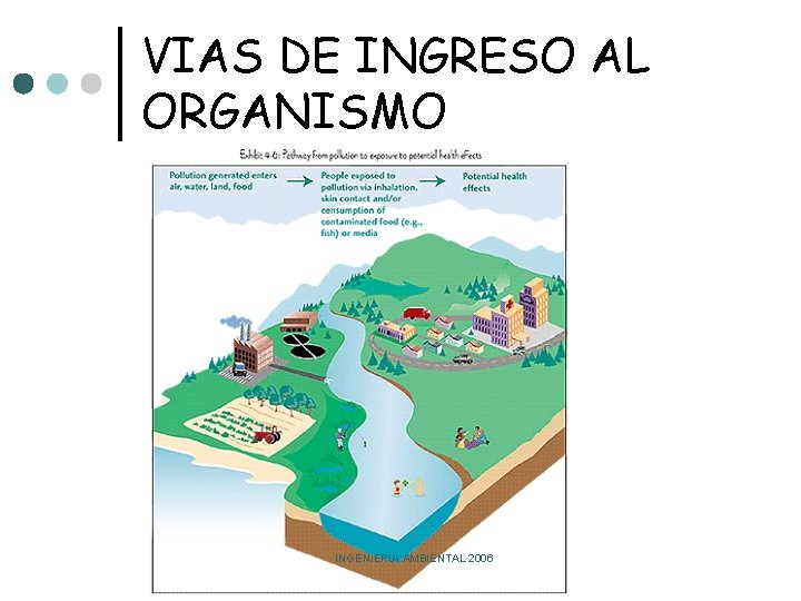 VIAS DE INGRESO AL ORGANISMO INGENIERIA AMBIENTAL 2006 