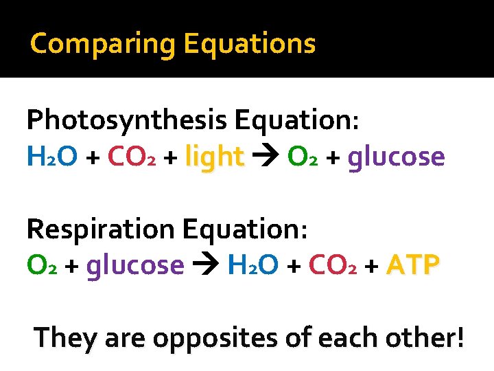 Comparing Equations Photosynthesis Equation: H 2 O + CO 2 + light O 2