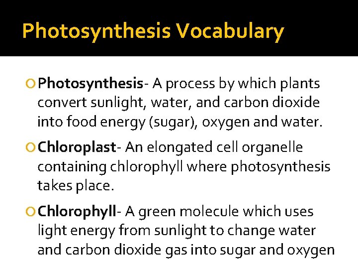Photosynthesis Vocabulary Photosynthesis A process by which plants convert sunlight, water, and carbon dioxide