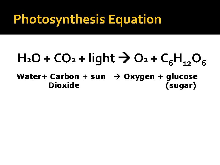 Photosynthesis Equation H 2 O + CO 2 + light O 2 + C