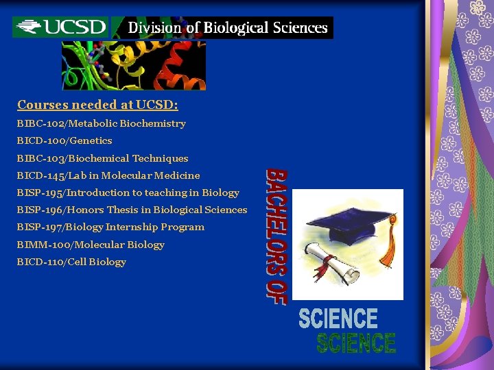 Courses needed at UCSD: BIBC-102/Metabolic Biochemistry BICD-100/Genetics BIBC-103/Biochemical Techniques BICD-145/Lab in Molecular Medicine BISP-195/Introduction