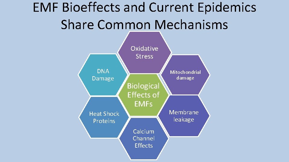 EMF Bioeffects and Current Epidemics Share Common Mechanisms Oxidative Stress DNA Damage Biological Effects