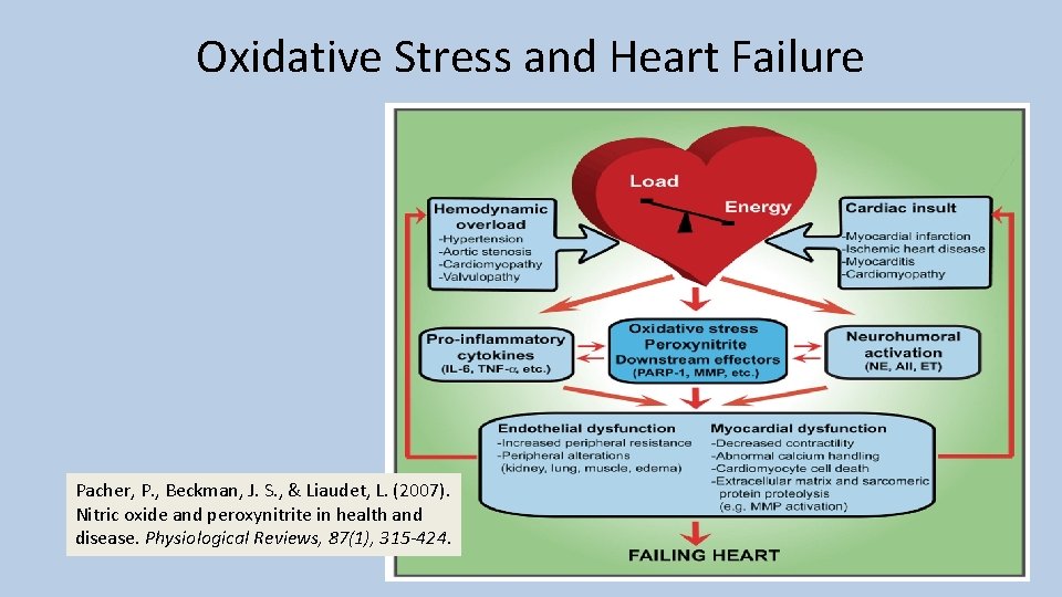 Oxidative Stress and Heart Failure Pacher, P. , Beckman, J. S. , & Liaudet,