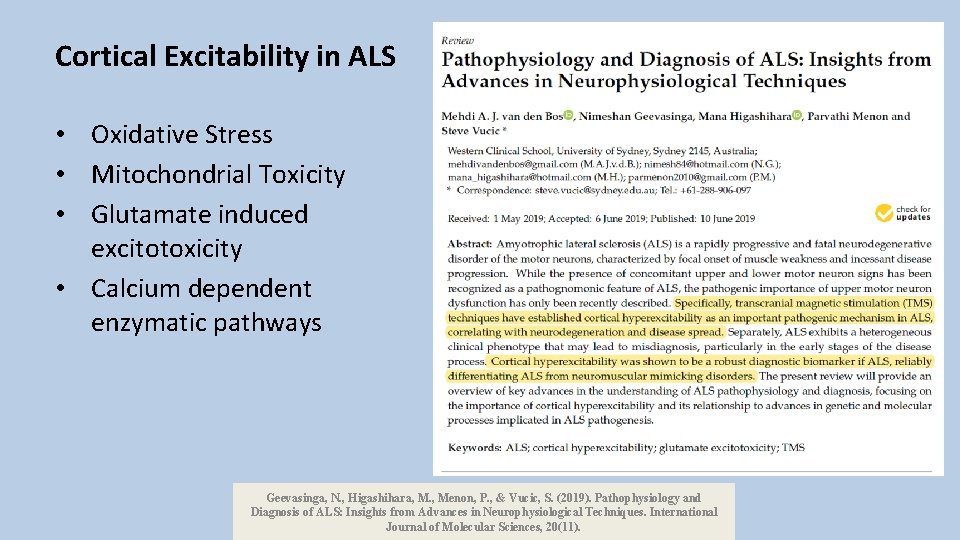 Cortical Excitability in ALS • Oxidative Stress • Mitochondrial Toxicity • Glutamate induced excitotoxicity