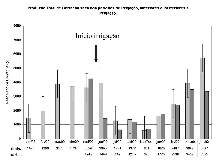 Início irrigação 