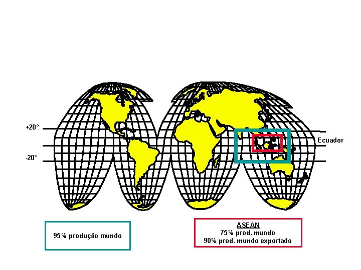Produção de Borracha Natural +20° Ecuador -20° 95% produção mundo ASEAN 75% prod. mundo