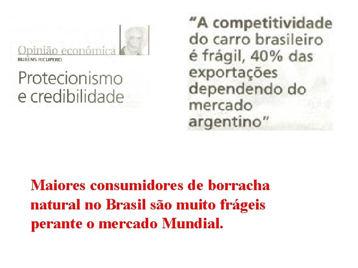 Maiores consumidores de borracha natural no Brasil são muito frágeis perante o mercado Mundial.