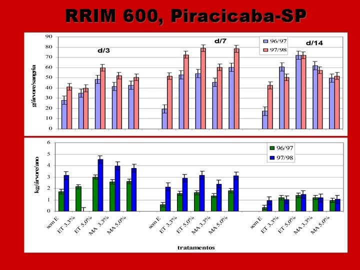 RRIM 600, Piracicaba-SP 