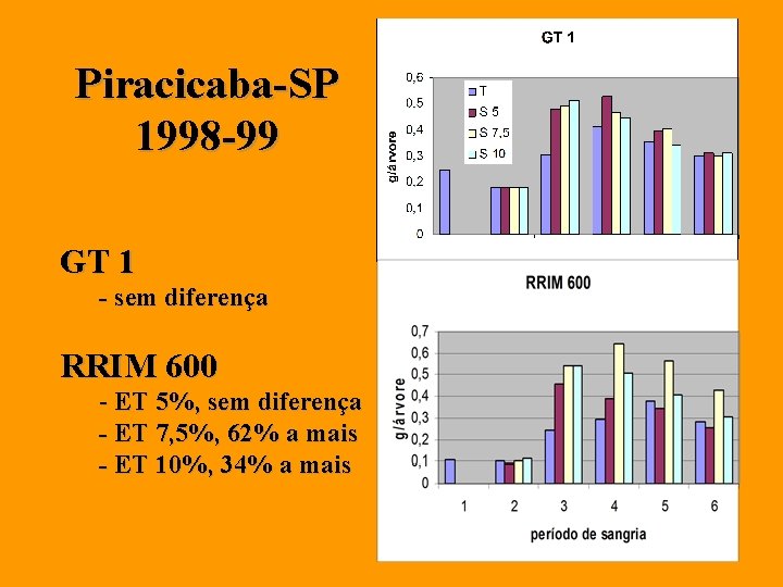 Piracicaba-SP 1998 -99 GT 1 - sem diferença RRIM 600 - ET 5%, sem