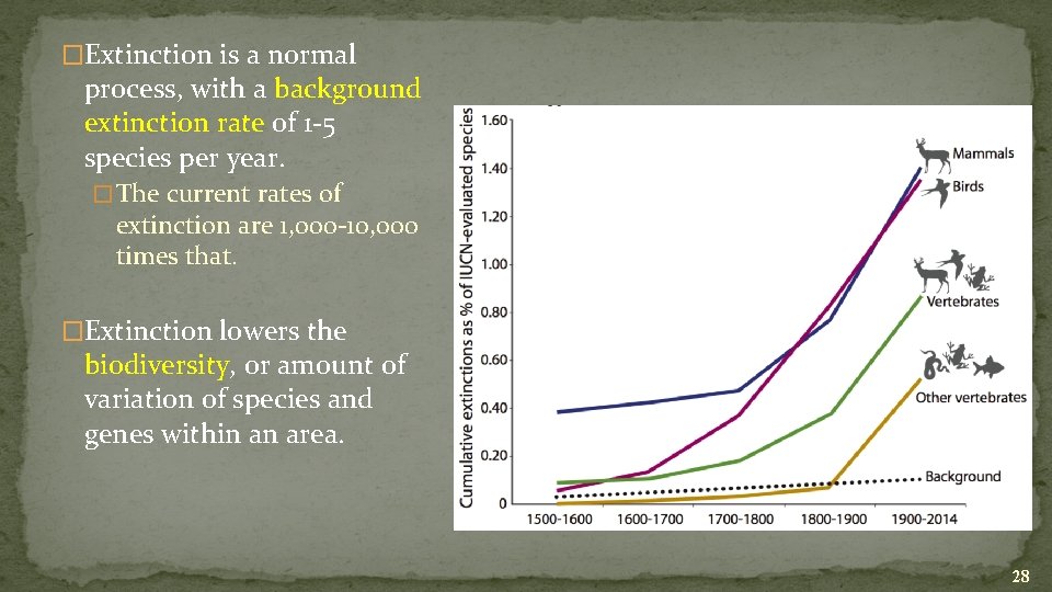 �Extinction is a normal process, with a background extinction rate of 1 -5 species