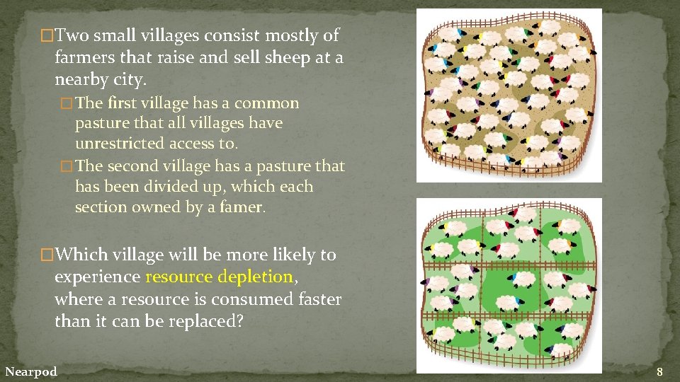 �Two small villages consist mostly of farmers that raise and sell sheep at a