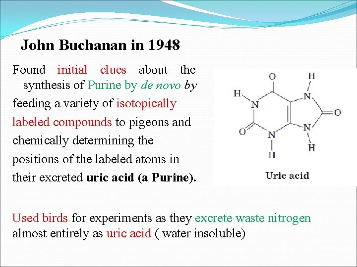 John Buchanan in 1948 Found initial clues about the synthesis of Purine by de