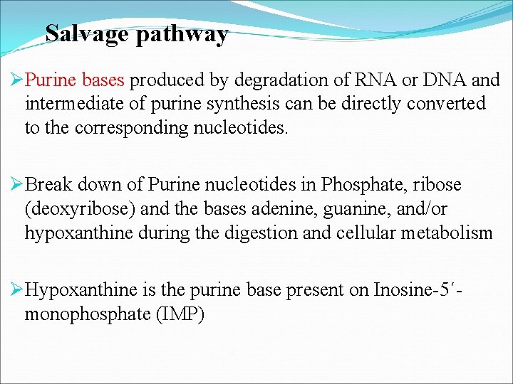 Salvage pathway ØPurine bases produced by degradation of RNA or DNA and intermediate of