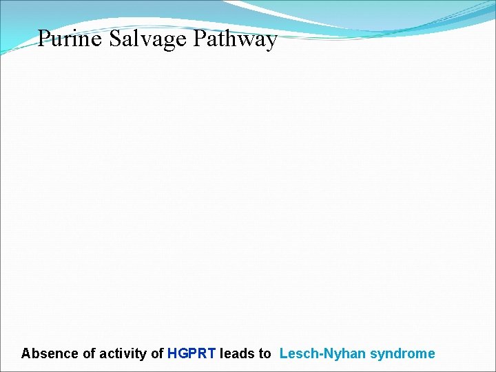 Purine Salvage Pathway Absence of activity of HGPRT leads to Lesch-Nyhan syndrome 