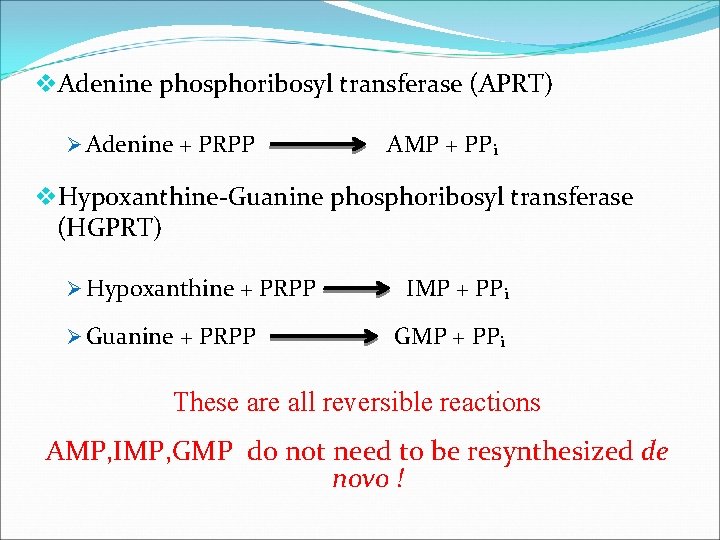 v. Adenine phosphoribosyl transferase (APRT) Ø Adenine + PRPP AMP + PP i v.