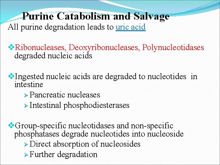 Purine Catabolism and Salvage All purine degradation leads to uric acid v. Ribonucleases, Deoxyribonucleases,