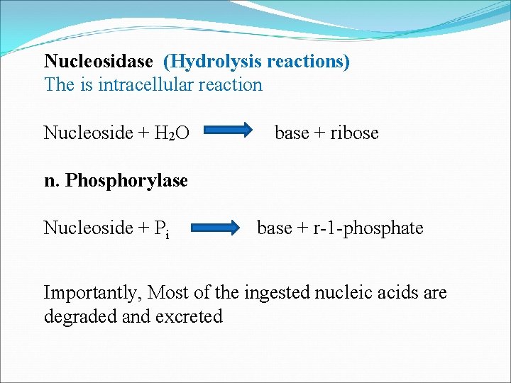 Nucleosidase (Hydrolysis reactions) The is intracellular reaction Nucleoside + H 2 O base +