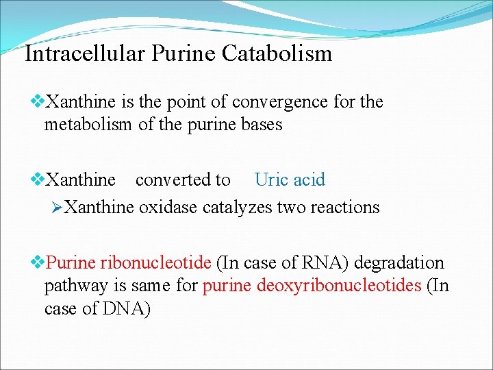Intracellular Purine Catabolism v. Xanthine is the point of convergence for the metabolism of