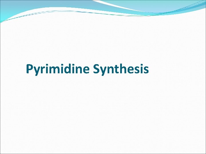 Pyrimidine Synthesis 