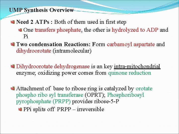 UMP Synthesis Overview Need 2 ATPs : Both of them used in first step
