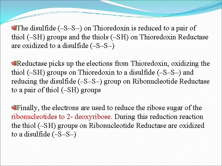 The disulfide (–S–S–) on Thioredoxin is reduced to a pair of thiol (–SH) groups