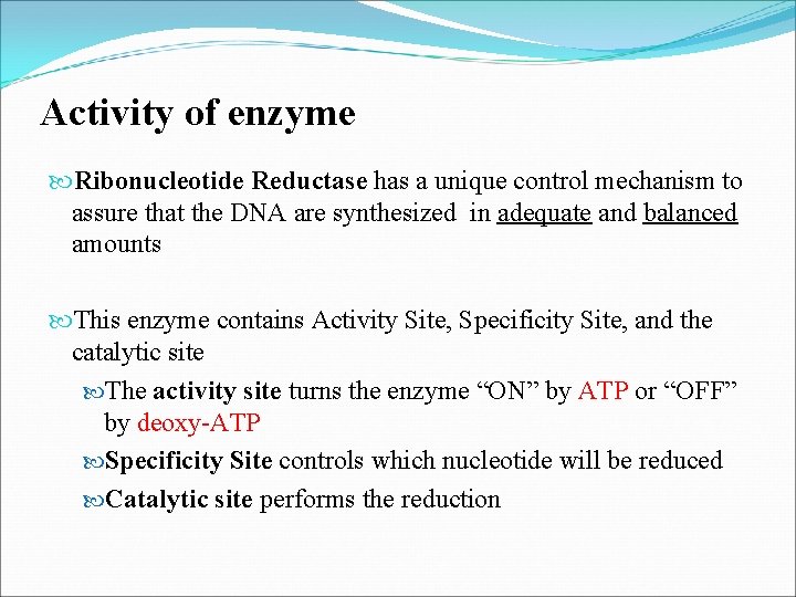 Activity of enzyme Ribonucleotide Reductase has a unique control mechanism to assure that the