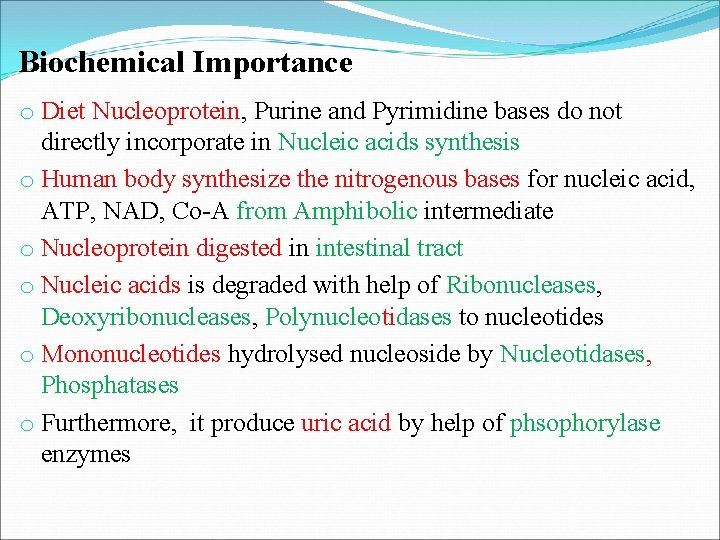 Biochemical Importance o Diet Nucleoprotein, Purine and Pyrimidine bases do not directly incorporate in