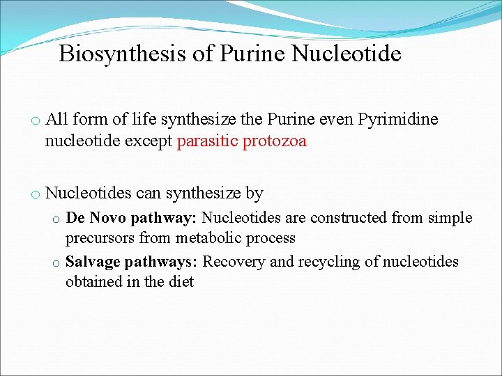 Biosynthesis of Purine Nucleotide o All form of life synthesize the Purine even Pyrimidine