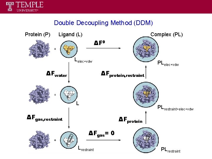Double Decoupling Method (DDM) Protein (P) Ligand (L) Complex (PL) ΔF 0 Lelec+vdw ΔFwater