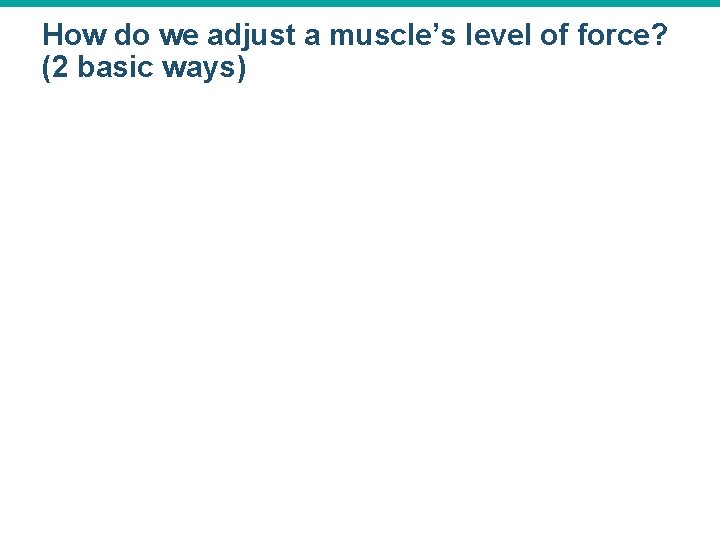 How do we adjust a muscle’s level of force? (2 basic ways) 