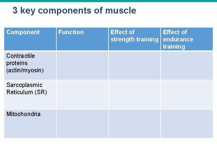 3 key components of muscle Component Contractile proteins (actin/myosin) Sarcoplasmic Reticulum (SR) Mitochondria Function