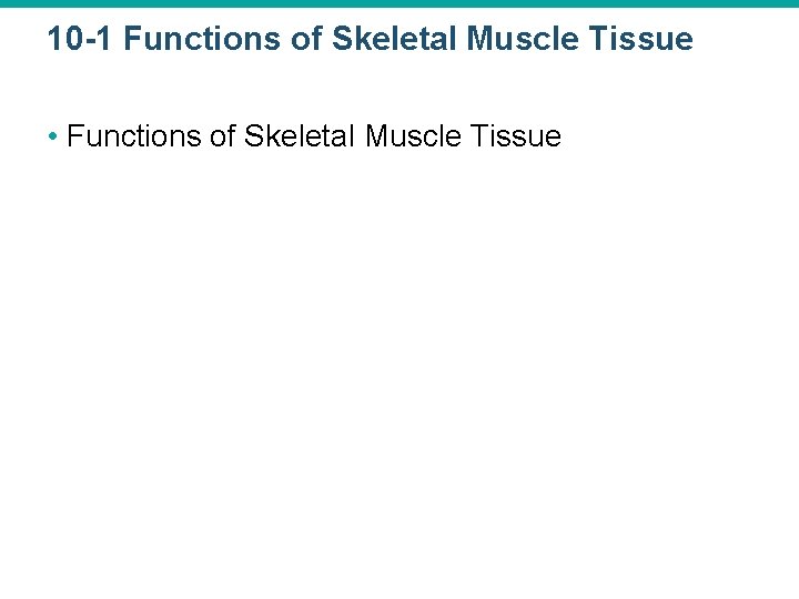 10 -1 Functions of Skeletal Muscle Tissue • Functions of Skeletal Muscle Tissue 