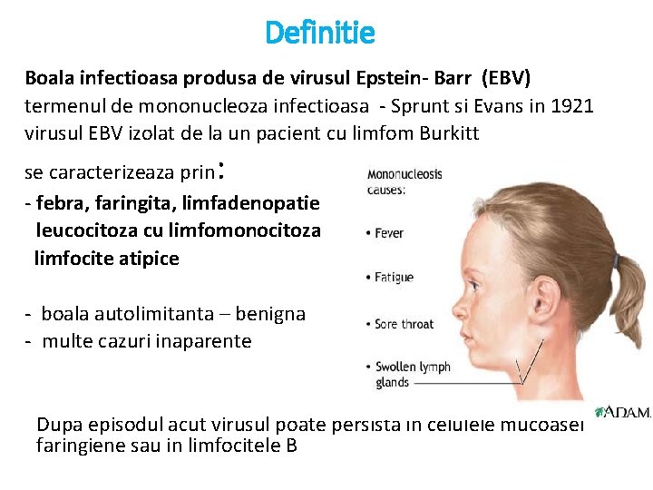 Definitie Boala infectioasa produsa de virusul Epstein- Barr (EBV) termenul de mononucleoza infectioasa -