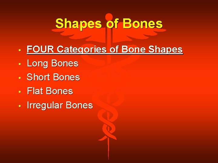 Shapes of Bones • • • FOUR Categories of Bone Shapes Long Bones Short