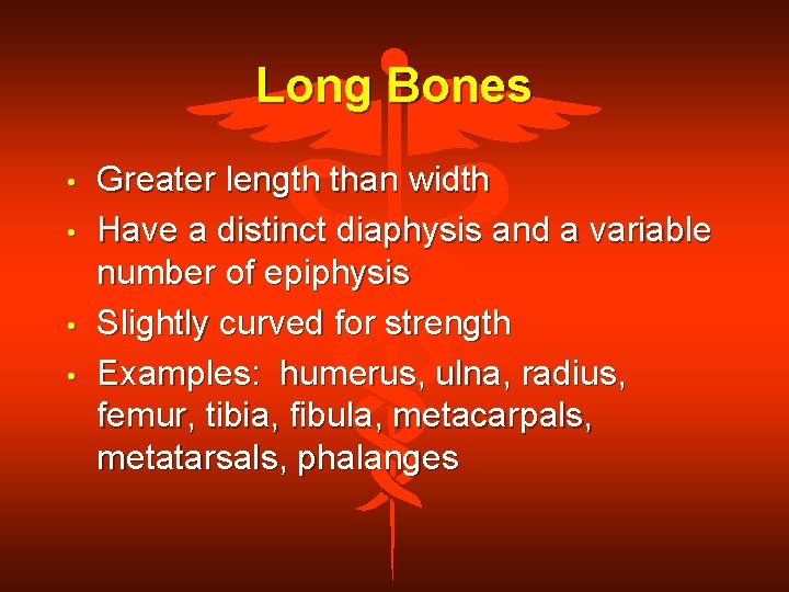Long Bones • • Greater length than width Have a distinct diaphysis and a